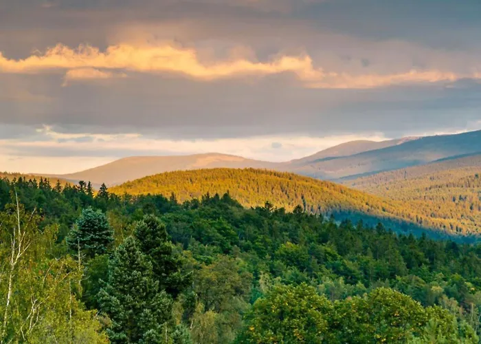 Aparthotel Happy Valley 4*