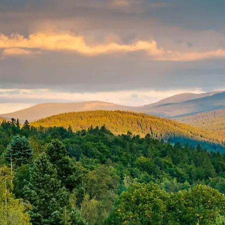 Aparthotel Happy Valley 4*